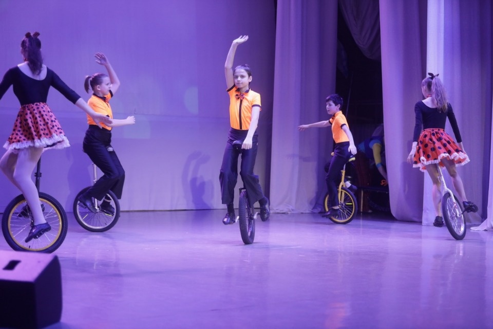 Цирк, да и только