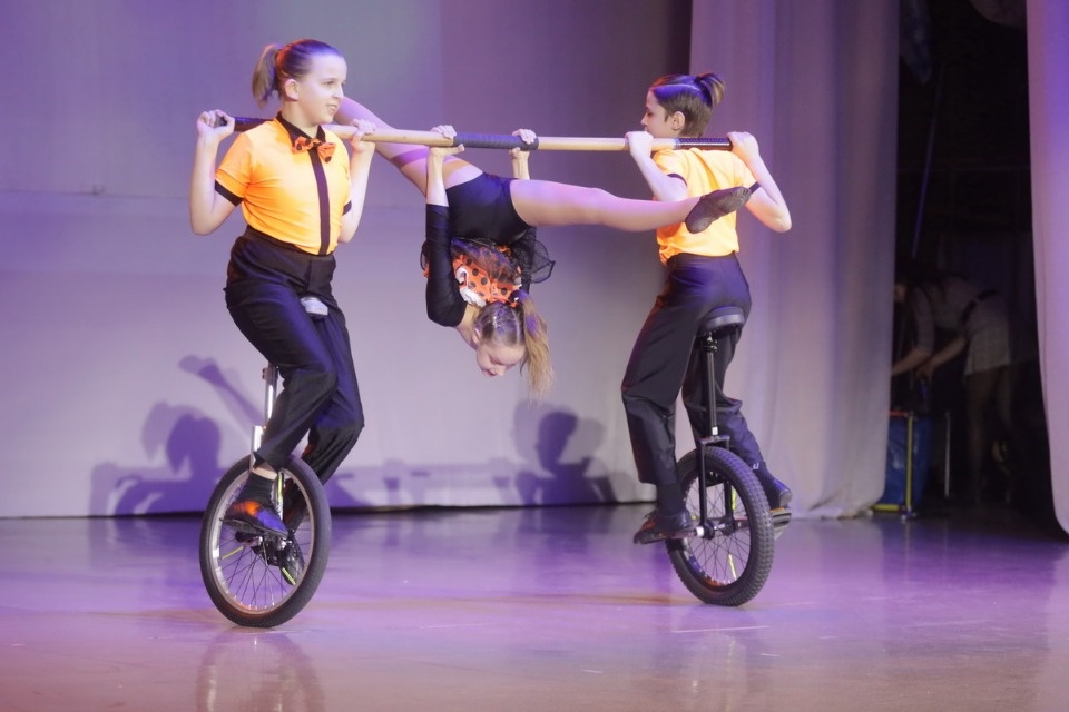 Цирк, да и только