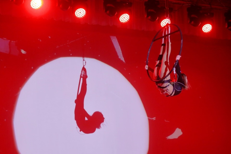 Цирк, да и только