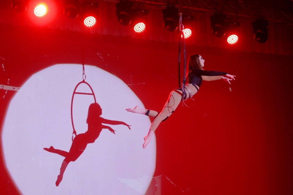 Цирк, да и только