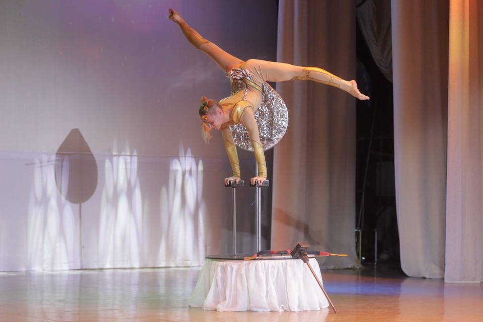 Цирк, да и только