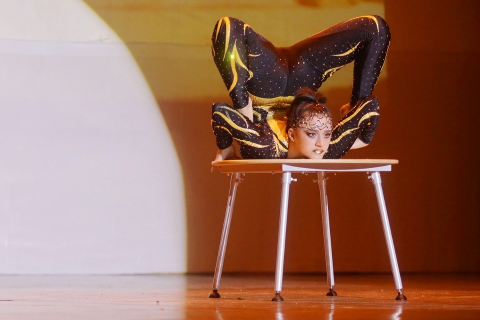 Цирк, да и только