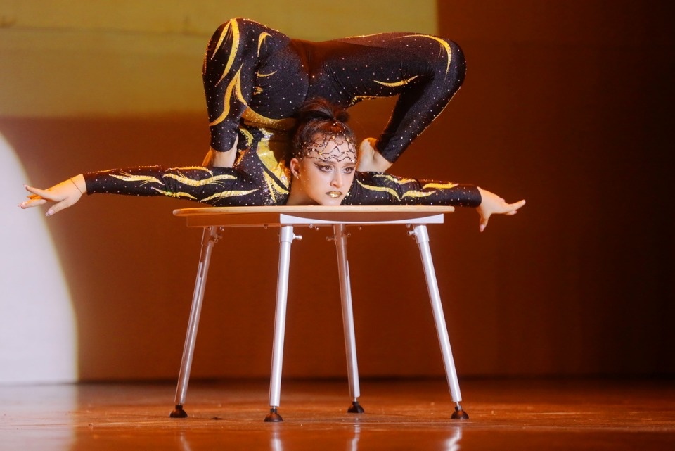 Цирк, да и только