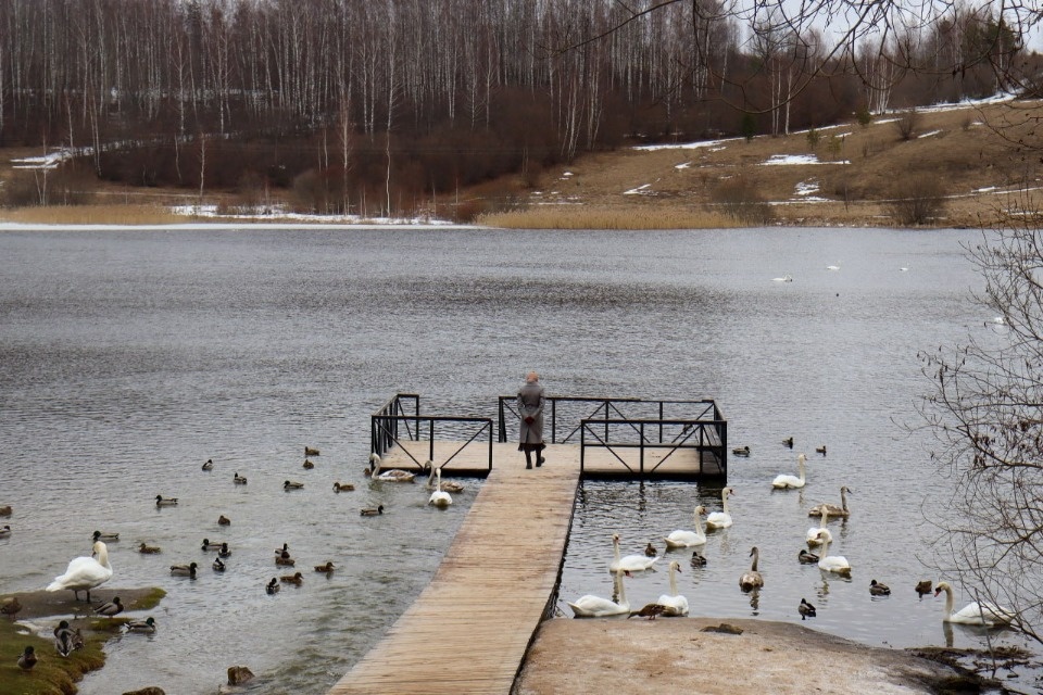 До +12 градусов прогреется воздух в Псковской области 5 апреля