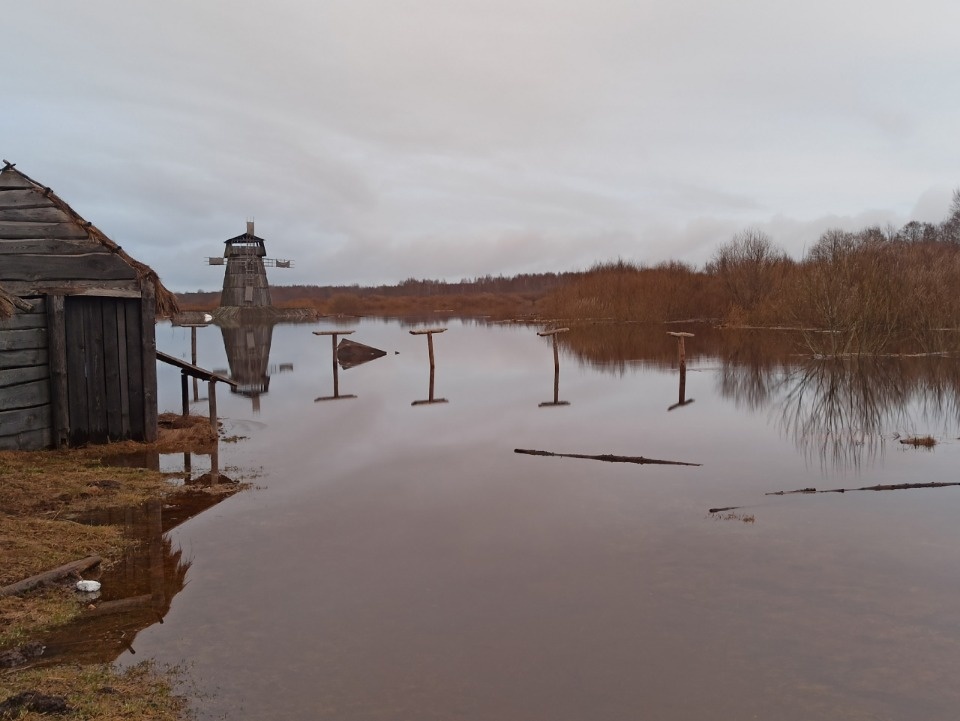 Река Сороть затопила известную кинодеревню в Новоржевском районе