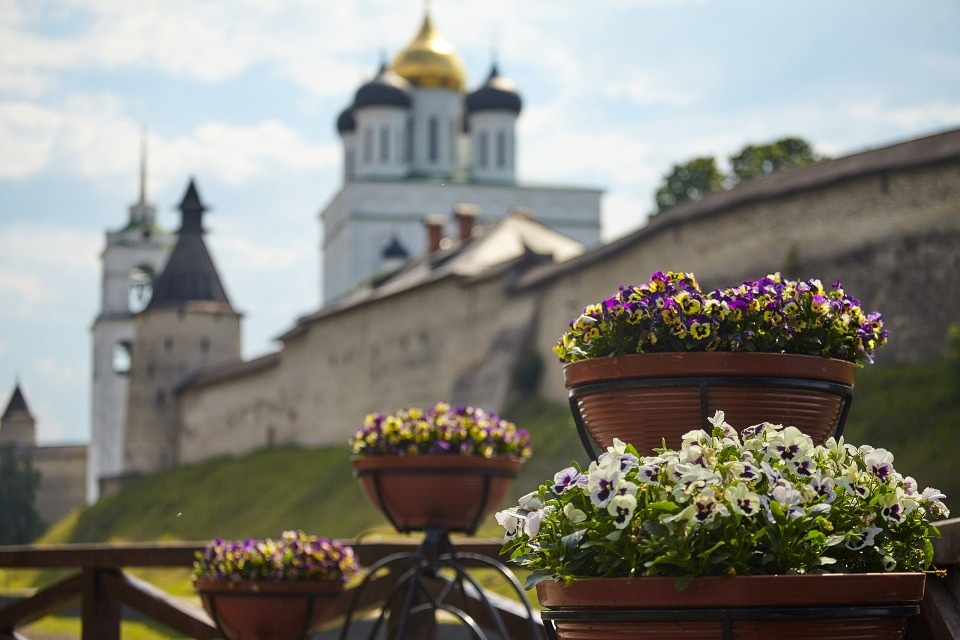 Почти 155 тысяч цветов высадят в Пскове к лету