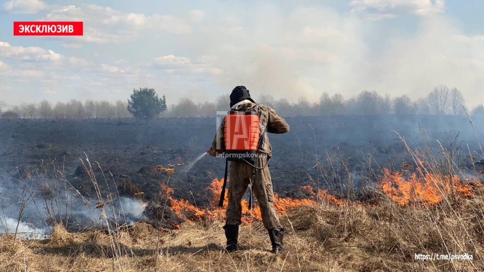 Пал трав в Псковском районе угрожает жилым домам