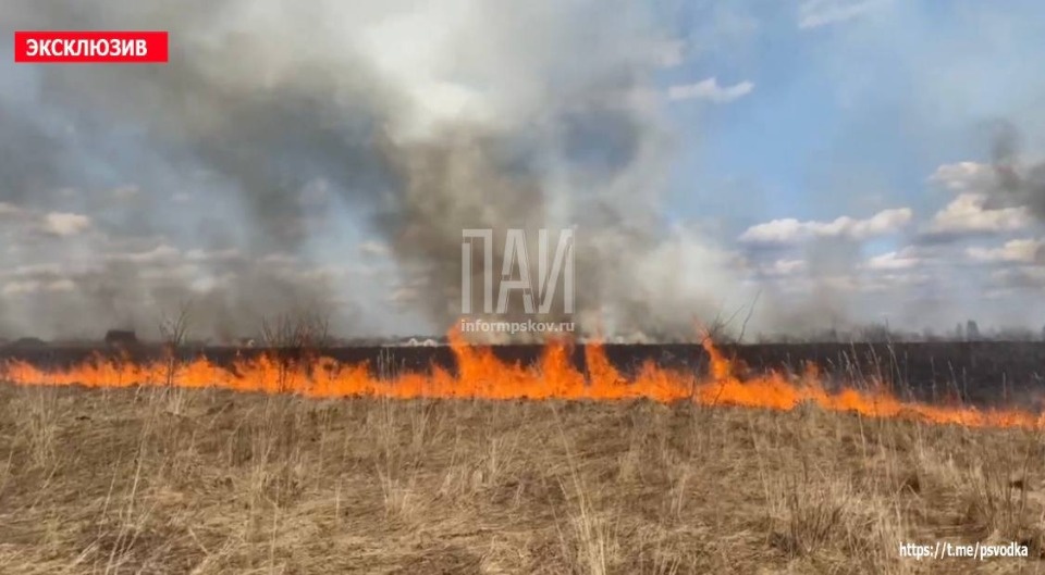 Пожарные спасли 20 домов в Псковском районе от пала травы