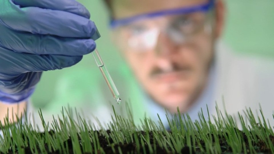 Фонд Гуманитарных Проектов запустил антифейк проект «Россия в деле»