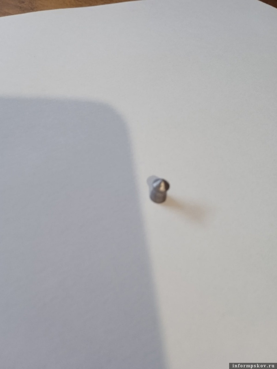 Неизвестный стреляет из пневматического оружия по котам в Новоржеве 