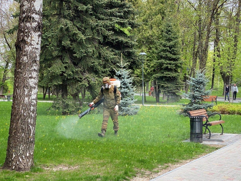 Парки в Пскове начнут обрабатывать от клещей на следующей неделе Парки в Пскове начнут обрабатывать от клещей на следующей неделе