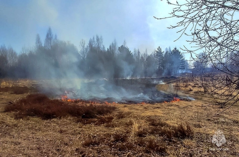 Уже порядка 70 ландшафтных пожаров зарегистрировано в Псковской области с начала пожароопасного сезона