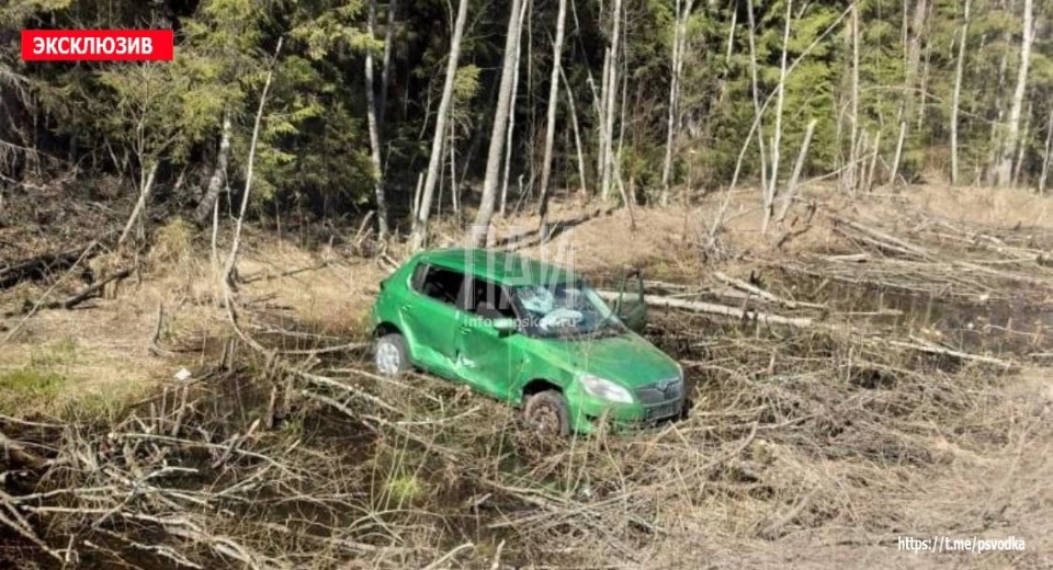 Машина вылетела в кювет и опрокинулась в Стругокрасненском районе
