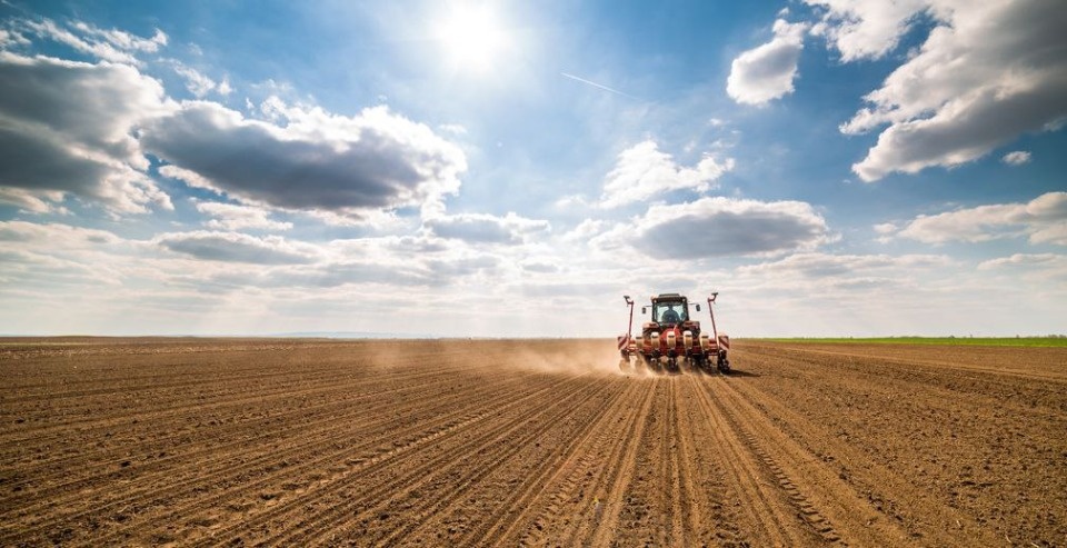 Россельхозбанк на 10% нарастил поддержку АПК Псковского региона