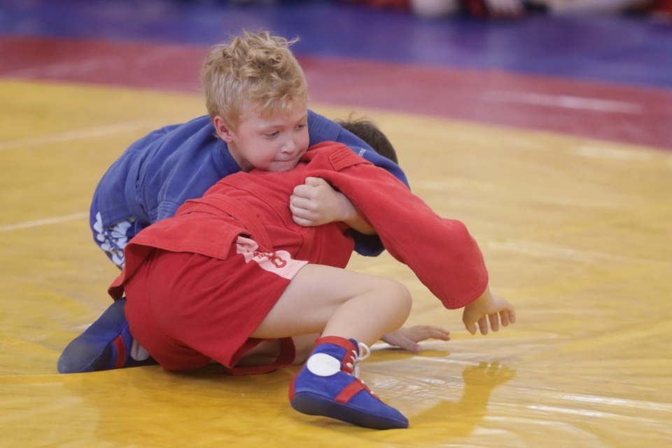 Самбо в Пскове