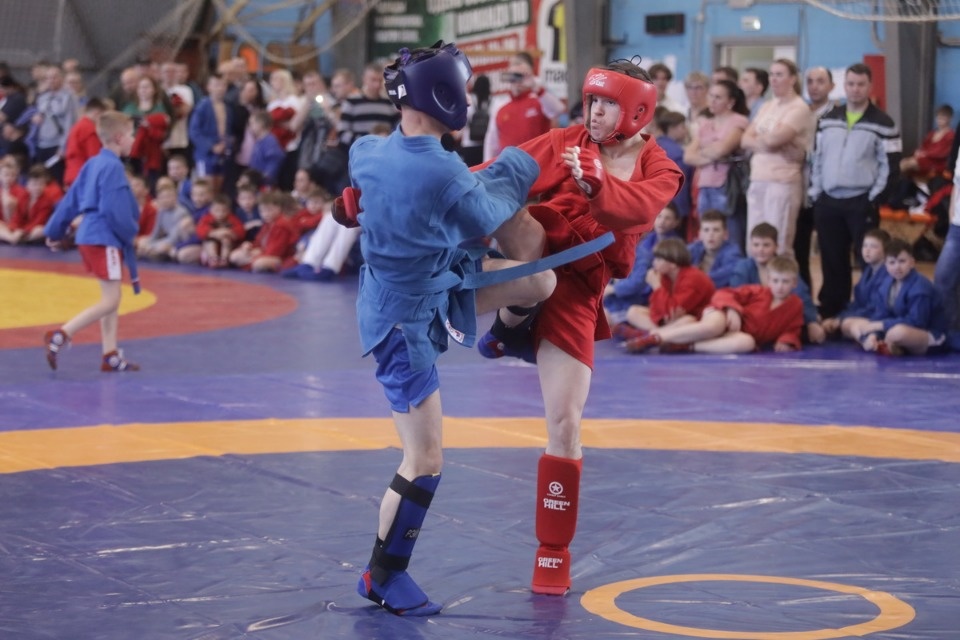 Самбо в Пскове