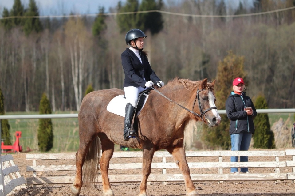 Псковичи заняли призовые места в соревнованиях по конному спорту среди лиц с ОВЗ в Новгородской области Псковичи заняли призовые места в соревнованиях по конному спорту среди лиц с ОВЗ в Новгородской области
