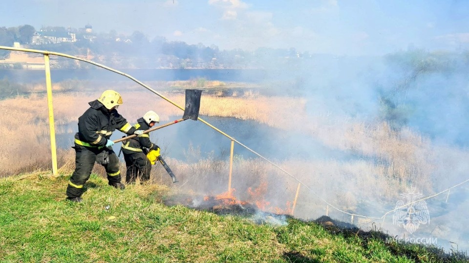 Пожарные вновь спасли газопровод и дома от пала травы в Псковском районе 