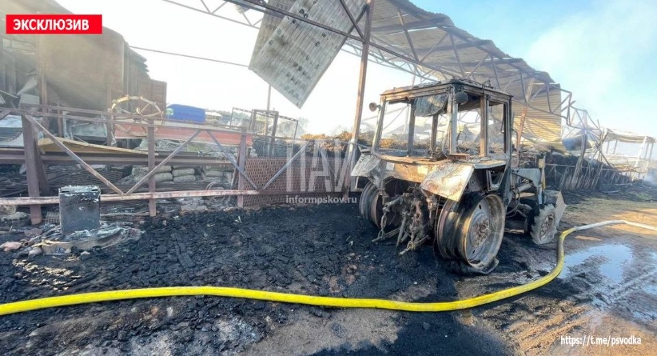 На пожаре в Плюсском районе погибли 150 овец и 20 коров