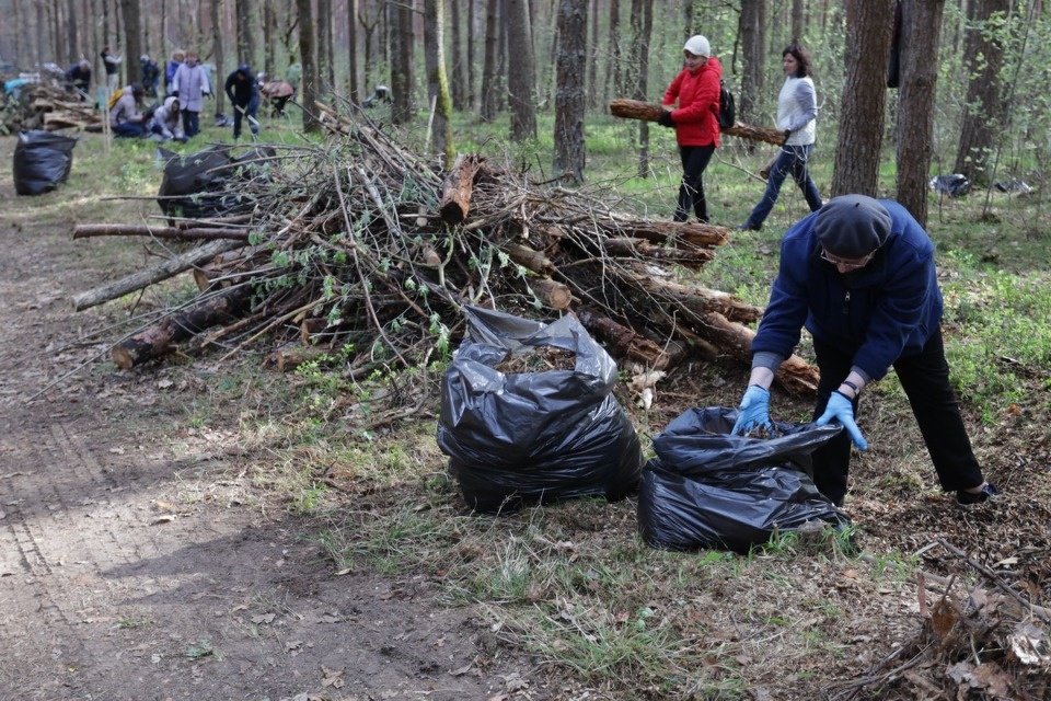 Совместный труд