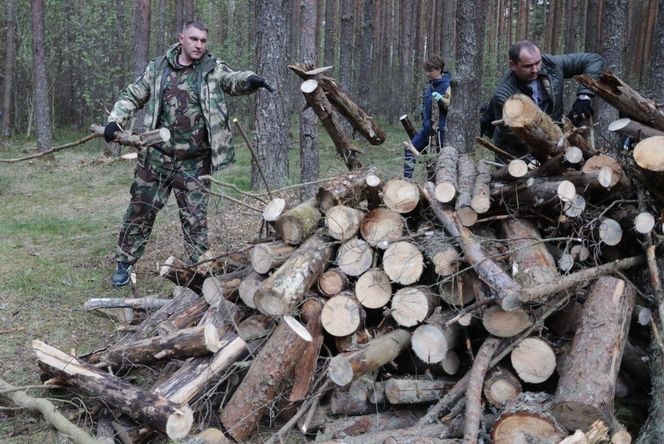 Совместный труд