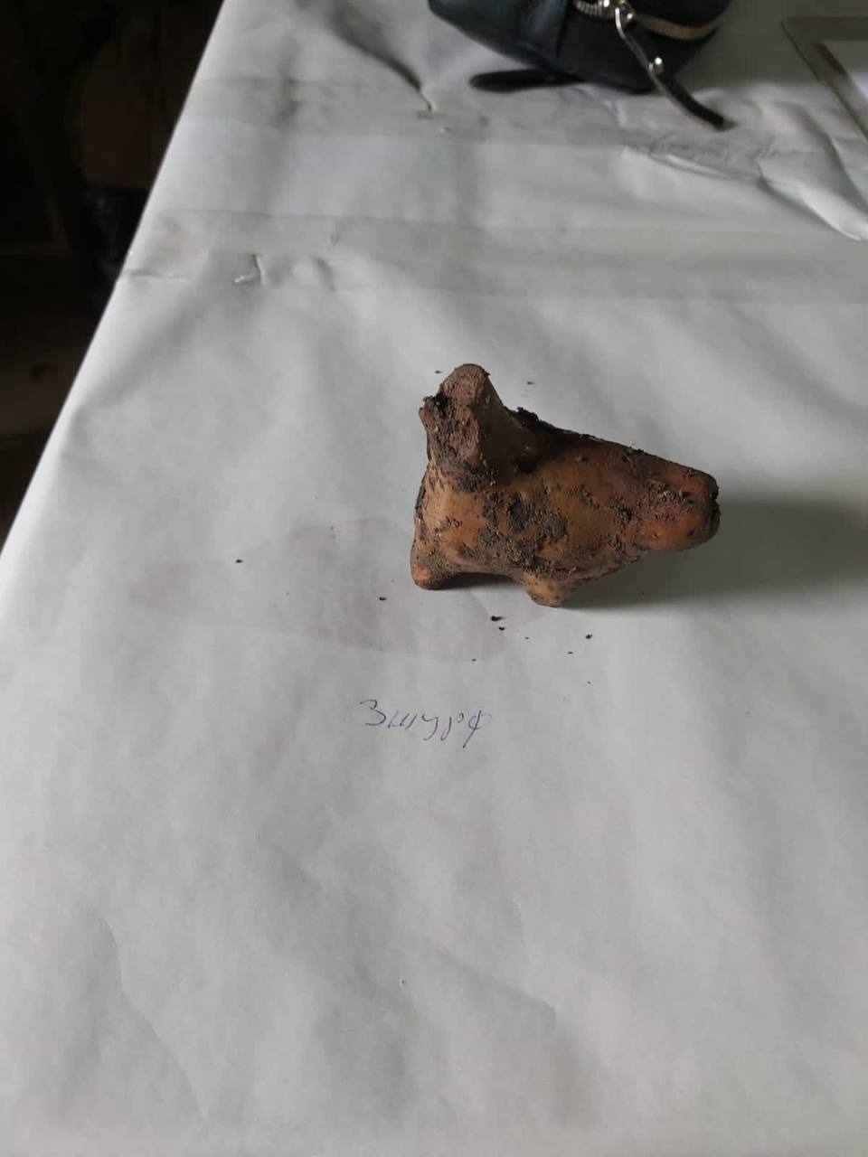 Свистульку обнаружили на месте археологических раскопок в Пскове Свистульку обнаружили на месте археологических раскопок в Пскове