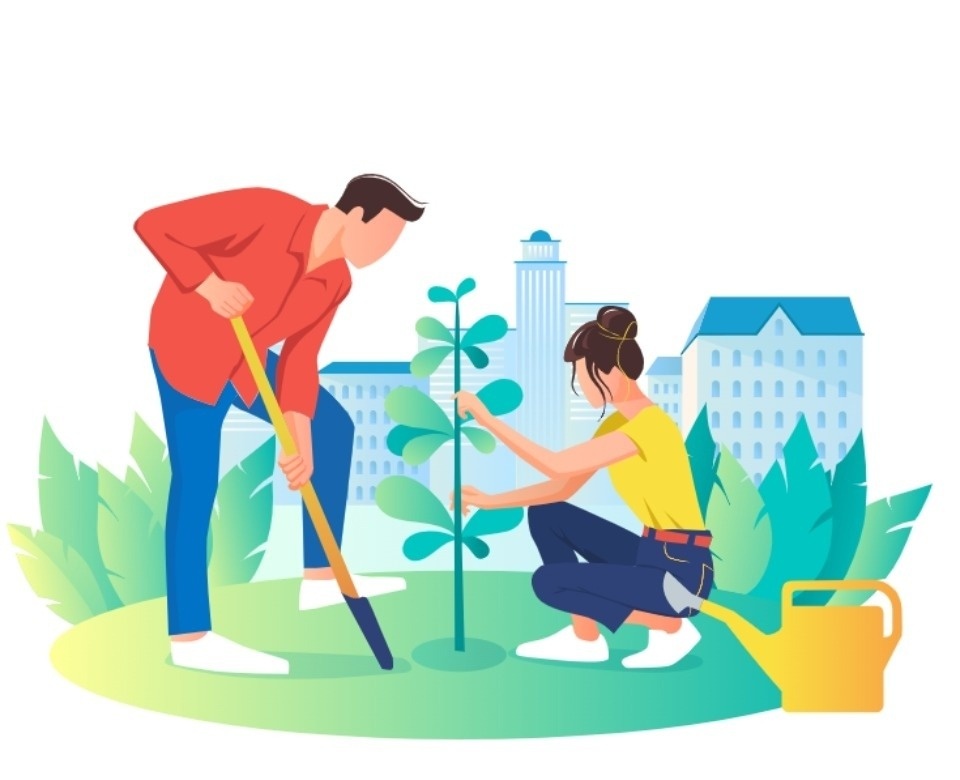 40 тысяч человек отдали свой голос за объекты благоустройства в Псковской области