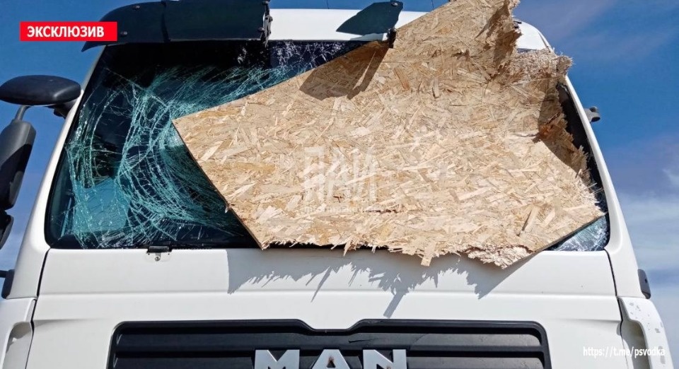 В лобовое стекло фуры на трассе в Дедовичском районе влетел лист фанеры
