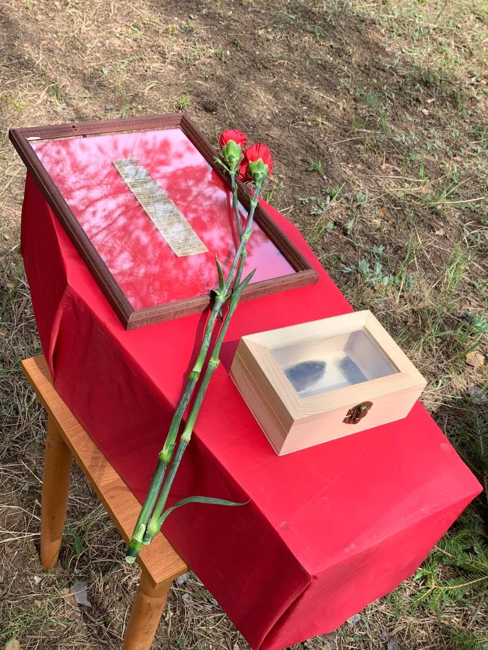 В Невельском районе перезахоронили останки бойцов Великой Отечественной войны