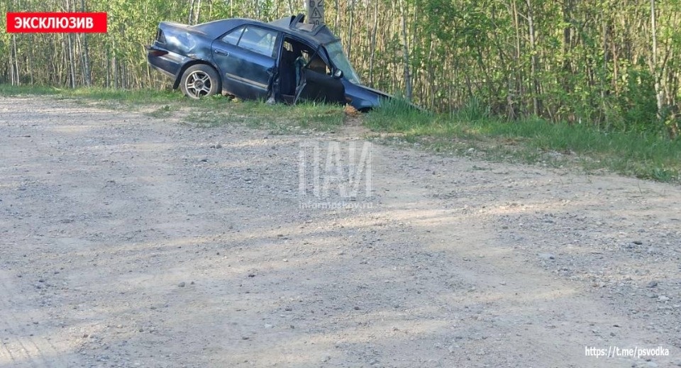 Несколько деревень в Дновском районе остались без света из-за ДТП