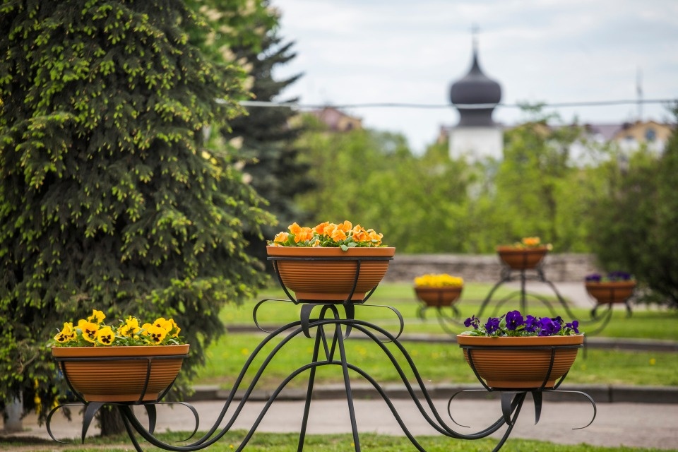 До +25 градусов ожидается в Псковской области 17 мая До +25 градусов ожидается в Псковской области 17 мая