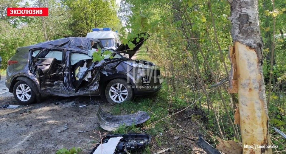Смертельное ДТП: В Плюсском районе Kia Sportage влетела в дерево