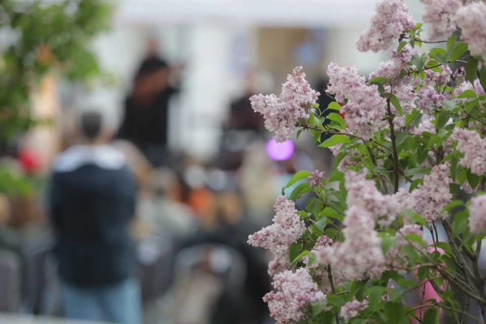 Джаз в музее