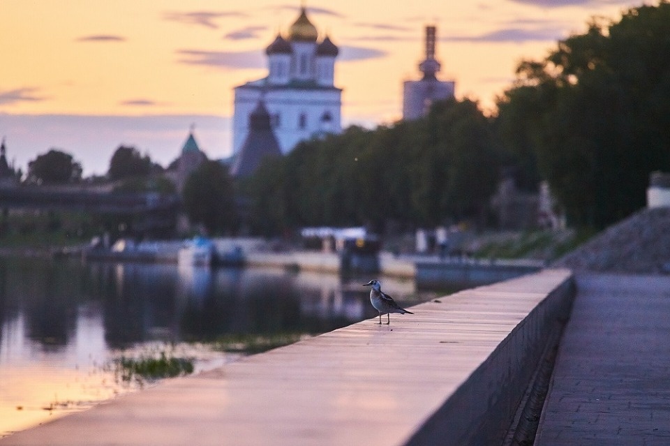 Точки притяжения 