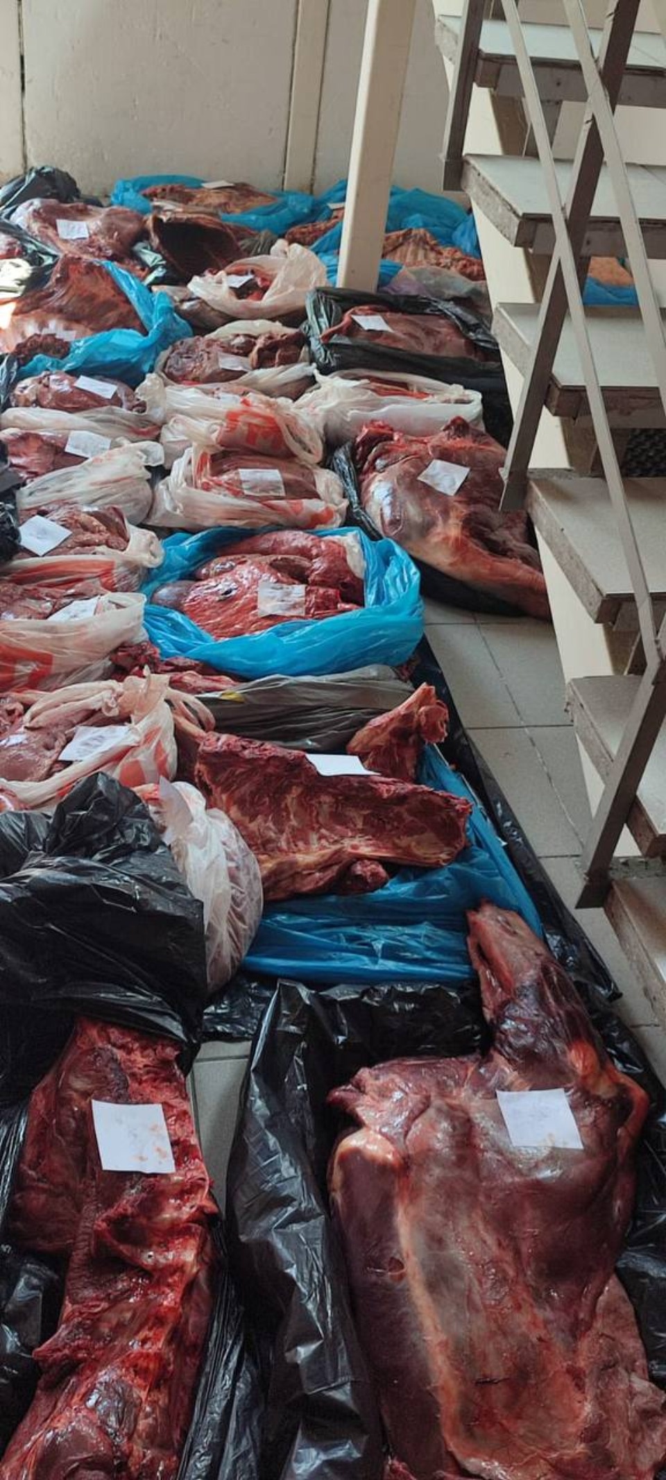 В Пскове незаконно перевозили мясо диких животных В Пскове незаконно перевозили мясо диких животных