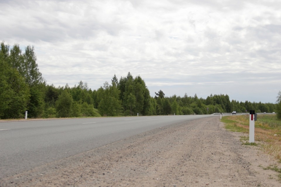 40 светоотражателей для отпугивания диких животных установили на Северном обходе Пскова 40 светоотражателей для отпугивания диких животных установили на Северном обходе Пскова