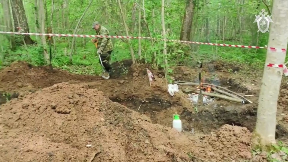 Псковские следователи провели следственные действия на месте обнаружения останков периода Великой Отечественной войны