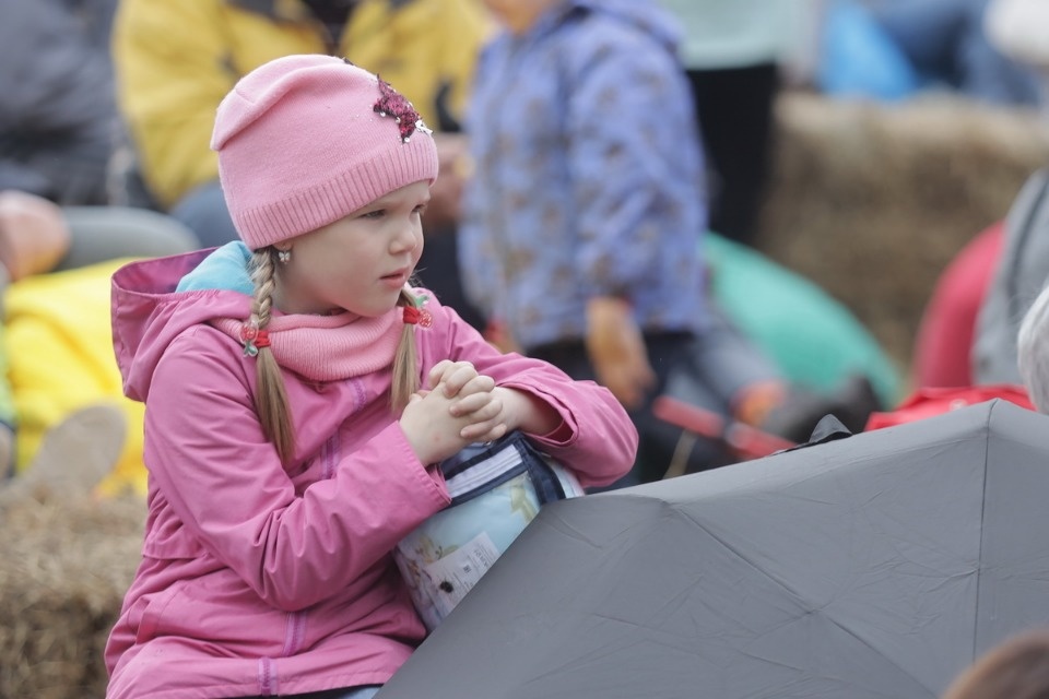 День Пушкина