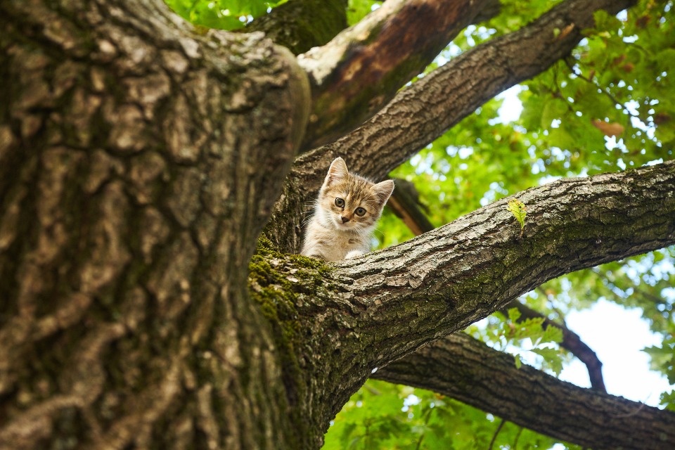 6 июня воздух в Псковской области прогреется до +24 градусов 