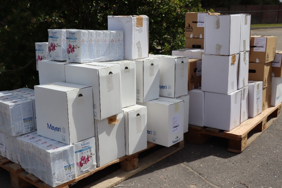 Псковские таможенники передали дому-интернату более 500 упаковок чистящих и моющих средств 