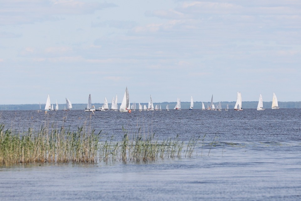 На всех парусах