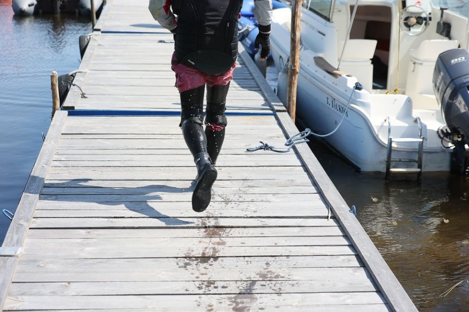 На всех парусах