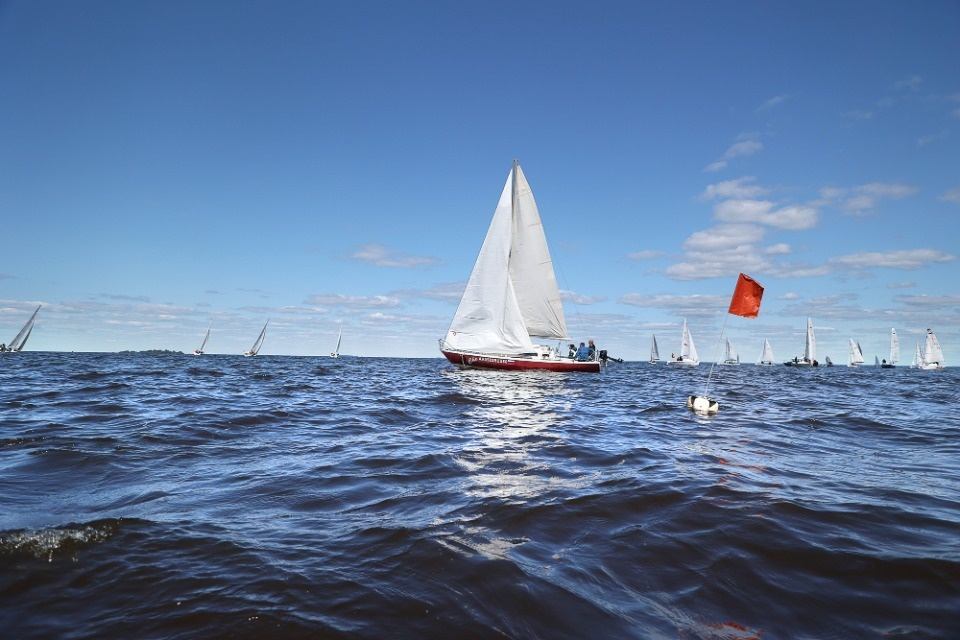 На всех парусах