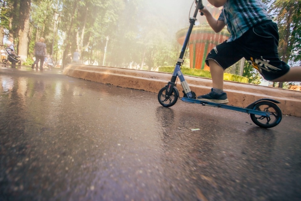 До +27 градусов прогреется воздух в Псковской области 13 июня