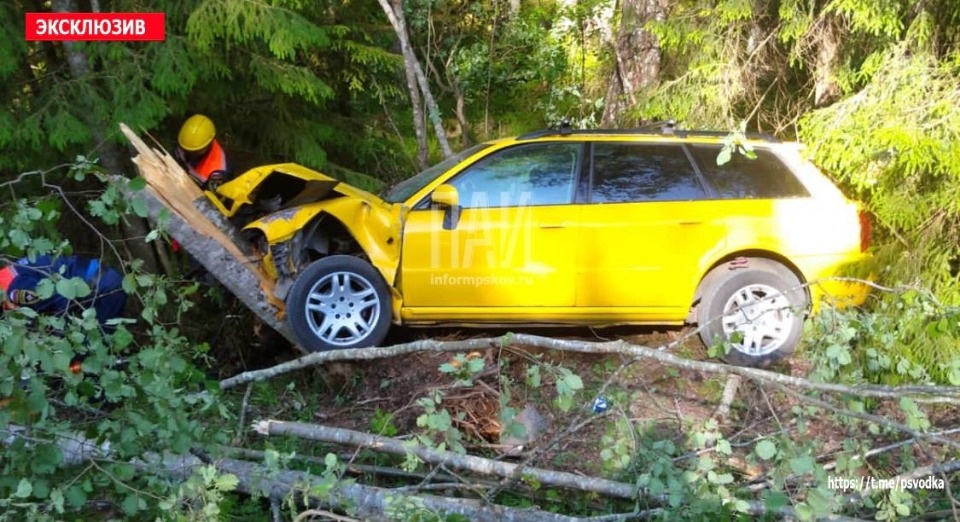 В Гдовском районе в результате ДТП госпитализировали двух человек