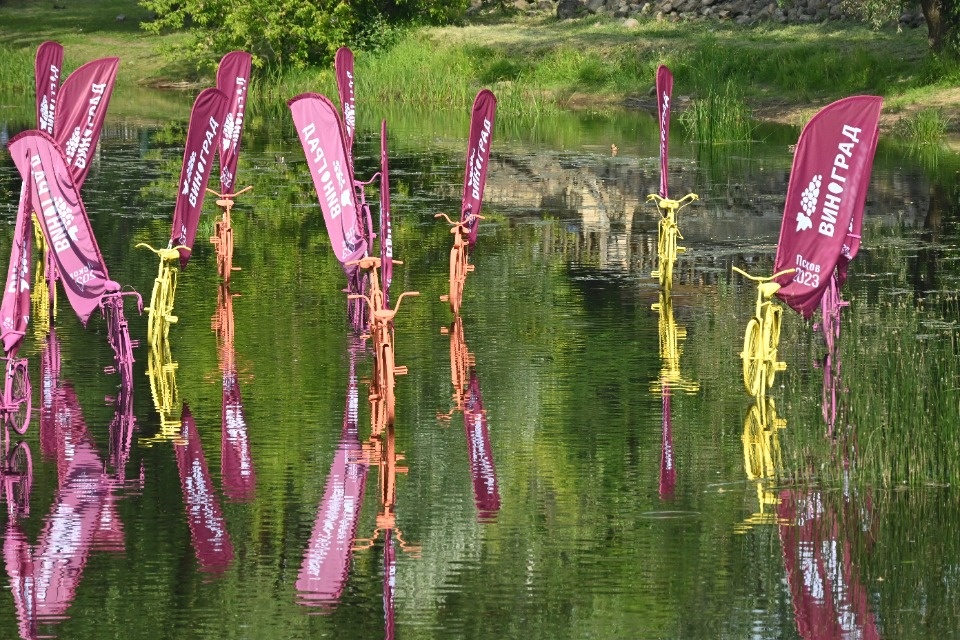 Вкус «Винограда»