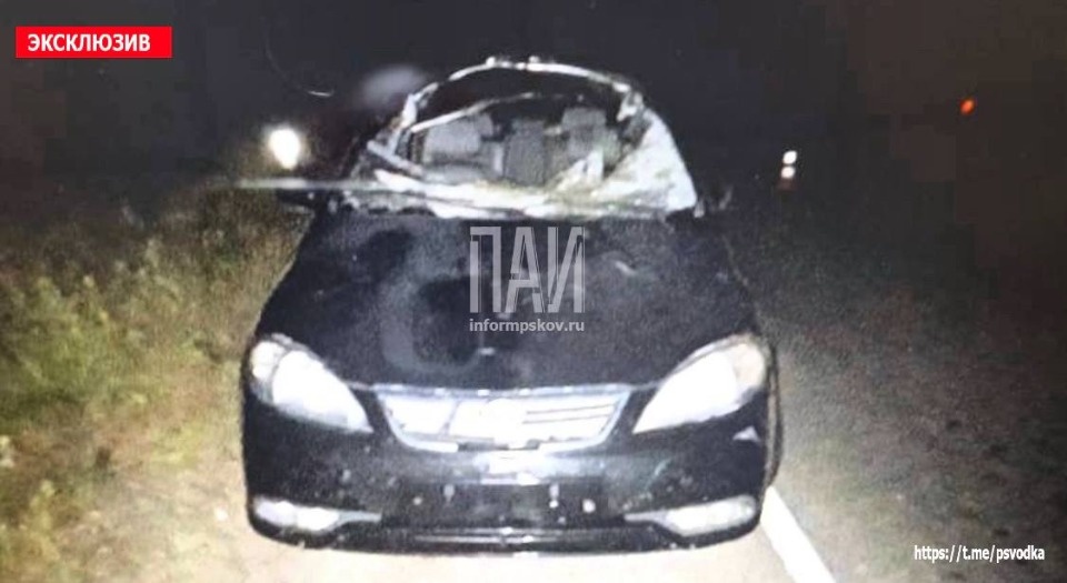 Автомобиль столкнулся с лосем в Невельском районе 