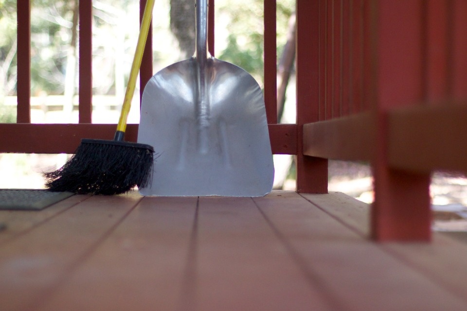 Печерянка стала свидетельницей избиения собаки лопатой 