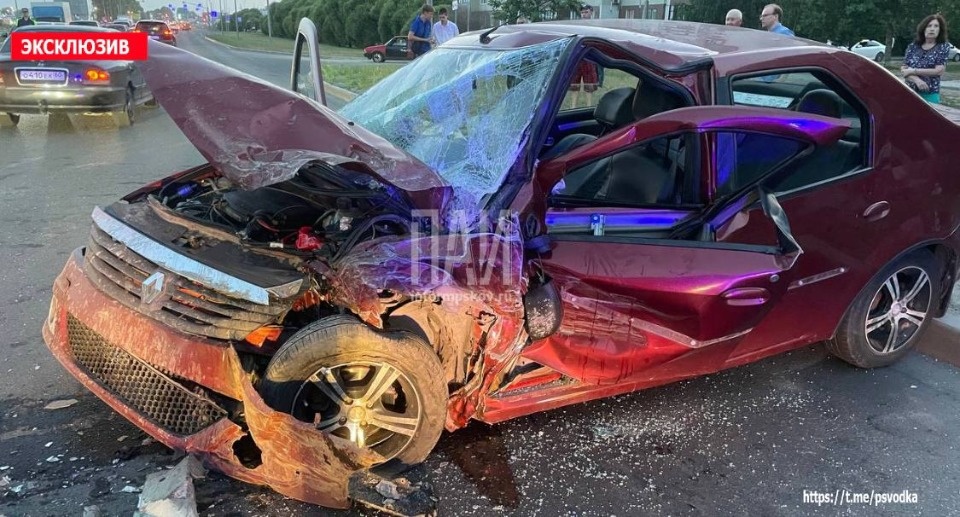 Собака погибла в аварии с участием пьяного водителя в Пскове