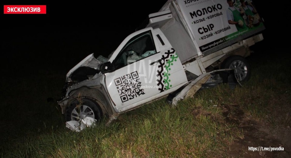 В Пустошкинском районе госпитализировали водителя фургона после ДТП с лосем и фурой